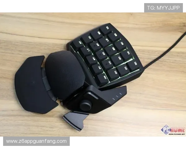 凯时KSapp下载最新版本,丰富游戏资源尽在掌握中 凯时KSapp下载最新版本,丰富游戏资源尽在掌握中