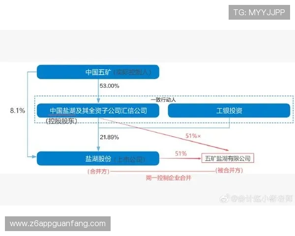 尊龙集团(Z6)的投资布局与资本运作模式分析 尊龙集团(Z6)的投资布局与资本运作模式分析