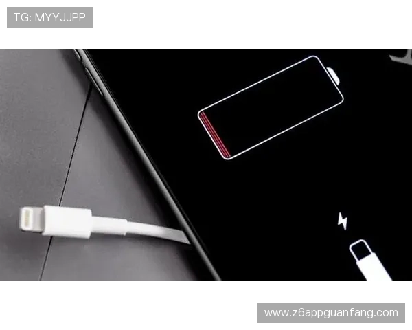 z6尊龙官网登录入口官方入口导航指南，帮助新手快速找到正确登录路径，避免登录失败困扰